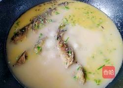 黄鱼汤的做法图解6