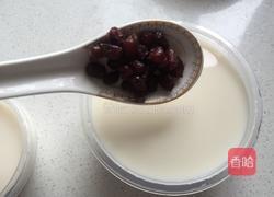 牛奶蜜豆果冻的做法图解10