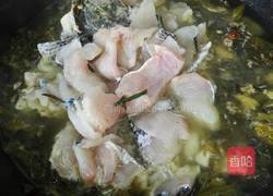 酸菜鱼的做法图解6