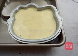 无水无油酸奶蛋糕的做法图解7