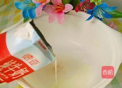 土豆奶香煎饼的做法图解5