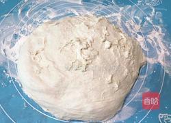 燕麦软欧包（波兰种）的做法图解8