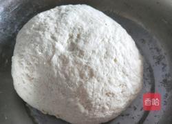猪肉青椒蒸饺的做法图解1
