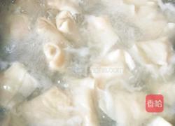 鲜虾混沌的做法图解9