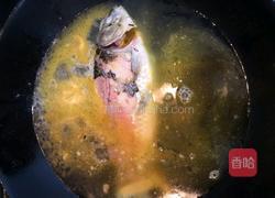 鲫鱼粉皮汤的做法图解8