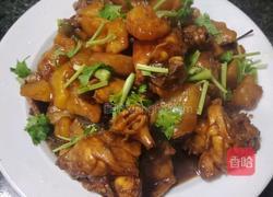 鸡肉炖土豆的做法图解8