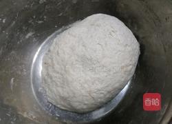 不用擀皮的香菇肉包(粗粮包子)的做法图解6