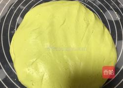 艾草粑粑（青团）的做法图解10
