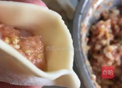 白菜猪肉虾仁水饺的做法图解9