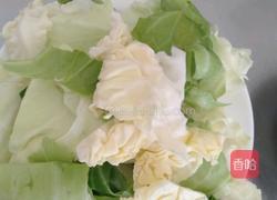 手撕莲花白的做法图解1