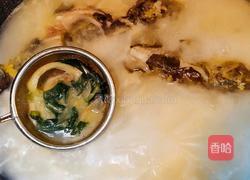 昂刺鱼白玉汤的做法图解6