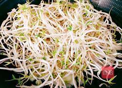 绿豆芽炒黄瓜的做法图解11