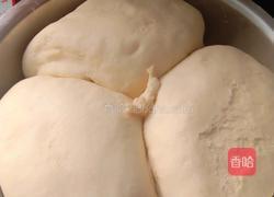 南方甜馒头的做法图解7