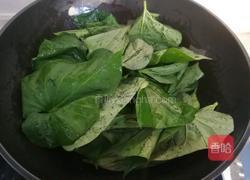 蒜香红薯叶的做法图解6