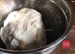 香油鸡肉煎饺的做法图解1