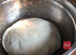 香油鸡肉煎饺的做法图解3