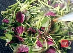 苋菜炒鸡蛋的做法图解6