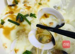 花蛤水蒸蛋的做法图解9