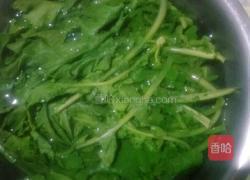 纯天然青萝卜苗蒸包的做法图解6
