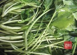 尖椒油菜的做法图解1