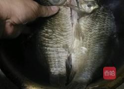 金汤鲫鱼的做法图解1
