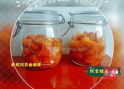 金桔膏（枇杷川贝金桔膏的做法图解8