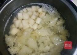  银耳雪梨汤的做法图解5