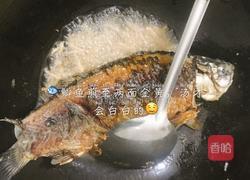 口蘑鲫鱼汤的做法图解5