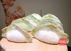 百财（白菜）水饺的做法图解18