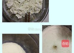 白菜猪肉包的做法图解1