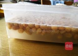 奶黄软欧包（提子液种）的做法图解4