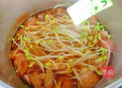 大脚菌豆芽牛腱汤的做法图解17