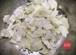 春季卷心菜的做法图解1