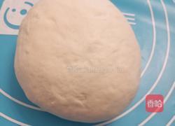 海鲜肉松披萨10寸的做法图解1