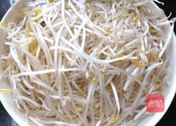韭菜炒豆芽的做法图解1