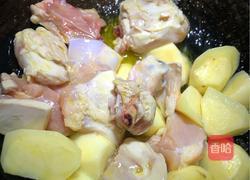 酱香土豆炖鸡块的做法图解6