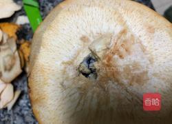 芒果芋圆烧仙草的做法图解7