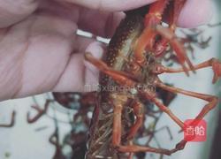 香辣小龙虾的做法图解1