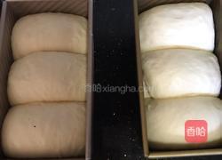 中种超软土司面包的做法图解13