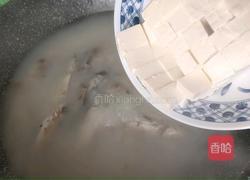 野鲫鱼老豆腐汤的做法图解7