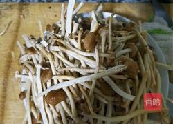 香辣茶树菇的做法图解1