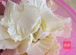 净炒白菜的做法图解2