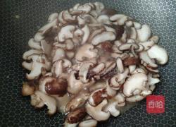 简单的下饭蘑菇做法的做法图解6