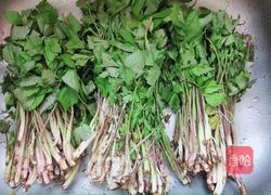 豆腐干丝炒野芹的做法图解1