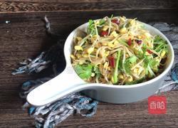干煸黄豆芽的做法图解10