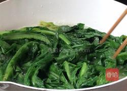 凉拌苦麻菜的做法图解9