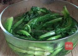 凉拌苦麻菜的做法图解10