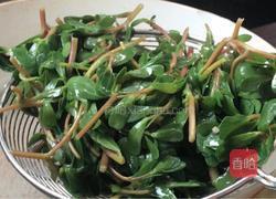 马齿苋拌牛肉的做法图解14