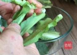 生拌苦麻菜的做法图解1
