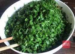 马齿苋韭菜馅饺子的做法图解8